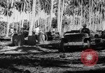Image of United States Marines Solomon Islands, 1945, second 23 stock footage video 65675077704
