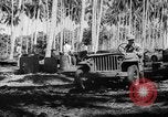 Image of United States Marines Solomon Islands, 1945, second 24 stock footage video 65675077704