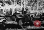 Image of United States Marines Solomon Islands, 1945, second 25 stock footage video 65675077704