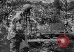 Image of United States Marines Solomon Islands, 1945, second 33 stock footage video 65675077704
