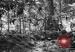 Image of United States Marines Solomon Islands, 1945, second 34 stock footage video 65675077704