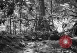 Image of United States Marines Solomon Islands, 1945, second 35 stock footage video 65675077704