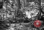 Image of United States Marines Solomon Islands, 1945, second 36 stock footage video 65675077704