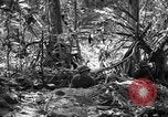 Image of United States Marines Solomon Islands, 1945, second 37 stock footage video 65675077704