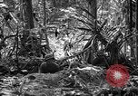 Image of United States Marines Solomon Islands, 1945, second 38 stock footage video 65675077704