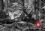 Image of United States Marines Solomon Islands, 1945, second 39 stock footage video 65675077704
