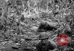 Image of United States Marines Solomon Islands, 1945, second 41 stock footage video 65675077704