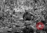 Image of United States Marines Solomon Islands, 1945, second 42 stock footage video 65675077704