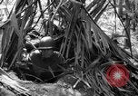 Image of United States Marines Solomon Islands, 1945, second 43 stock footage video 65675077704