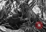 Image of United States Marines Solomon Islands, 1945, second 44 stock footage video 65675077704