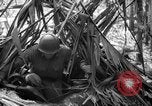 Image of United States Marines Solomon Islands, 1945, second 45 stock footage video 65675077704