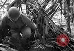 Image of United States Marines Solomon Islands, 1945, second 46 stock footage video 65675077704