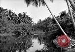 Image of United States Marines Solomon Islands, 1945, second 6 stock footage video 65675077705