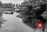 Image of United States Marines Solomon Islands, 1945, second 10 stock footage video 65675077705