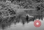 Image of United States Marines Solomon Islands, 1945, second 12 stock footage video 65675077705