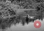 Image of United States Marines Solomon Islands, 1945, second 13 stock footage video 65675077705