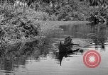 Image of United States Marines Solomon Islands, 1945, second 15 stock footage video 65675077705