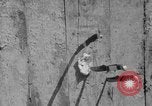 Image of United States Marines Solomon Islands, 1945, second 38 stock footage video 65675077705