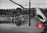 Image of United States Marines Solomon Islands, 1945, second 54 stock footage video 65675077705