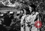 Image of Admiral Nimitz Solomon Islands, 1945, second 57 stock footage video 65675077707