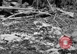 Standbild Vereinigten Staaten Marines Salomonen, 1945, aus Sekunde 59 historischem Filmmaterial Videoclip 65675077708