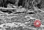 Standbild Vereinigten Staaten Marines Salomonen, 1945, aus Sekunde 60 historischem Filmmaterial Videoclip 65675077708