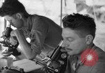Immagine di Stati Uniti Marines Isole Salomone, 1945, secondo 37 filmato di repertorio 65675077709