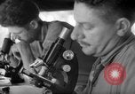 Immagine di Stati Uniti Marines Isole Salomone, 1945, secondo 40 filmato di repertorio 65675077709