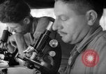 Immagine di Stati Uniti Marines Isole Salomone, 1945, secondo 41 filmato di repertorio 65675077709