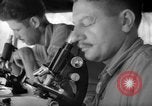 Immagine di Stati Uniti Marines Isole Salomone, 1945, secondo 42 filmato di repertorio 65675077709
