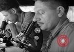 Immagine di Stati Uniti Marines Isole Salomone, 1945, secondo 43 filmato di repertorio 65675077709