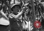 Image of United States Marines Solomon Islands, 1945, second 6 stock footage video 65675077710