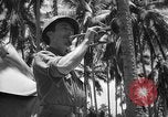 Image of United States Marines Solomon Islands, 1945, second 7 stock footage video 65675077710