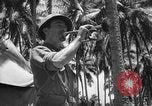 Image of United States Marines Solomon Islands, 1945, second 8 stock footage video 65675077710