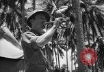Image of United States Marines Solomon Islands, 1945, second 9 stock footage video 65675077710