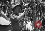 Image of United States Marines Solomon Islands, 1945, second 10 stock footage video 65675077710