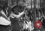 Image of United States Marines Solomon Islands, 1945, second 11 stock footage video 65675077710