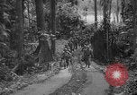 Image of United States Marines Solomon Islands, 1945, second 12 stock footage video 65675077710