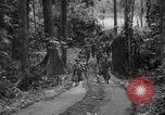 Image of United States Marines Solomon Islands, 1945, second 13 stock footage video 65675077710