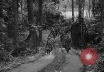 Image of United States Marines Solomon Islands, 1945, second 14 stock footage video 65675077710