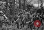 Image of United States Marines Solomon Islands, 1945, second 15 stock footage video 65675077710
