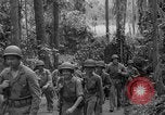 Image of United States Marines Solomon Islands, 1945, second 19 stock footage video 65675077710