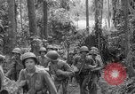 Image of United States Marines Solomon Islands, 1945, second 26 stock footage video 65675077710
