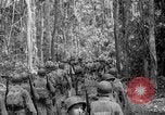Image of United States Marines Solomon Islands, 1945, second 34 stock footage video 65675077710