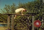 Standbild Eva Braun Schliersee Deutschland, 1940, aus Sekunde 58 historischem Filmmaterial Videoclip 65675077729