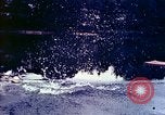 Standbild Eva Braun Deutschland, 1940, aus Sekunde 23 historischem Filmmaterial Videoclip 65675077736
