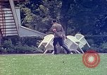 Standbild Adolf Hitler Berchtesgaden Deutschland, 1940, aus Sekunde 51 historischem Filmmaterial Videoclip 65675077738