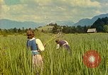 Standbild Eva Braun Berchtesgaden Deutschland, 1940, aus Sekunde 4 historischem Filmmaterial Videoclip 65675077740