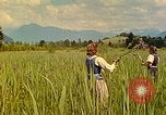 Standbild Eva Braun Berchtesgaden Deutschland, 1940, aus Sekunde 7 historischem Filmmaterial Videoclip 65675077740