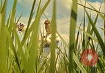 Standbild Eva Braun Berchtesgaden Deutschland, 1940, aus Sekunde 11 historischem Filmmaterial Videoclip 65675077740